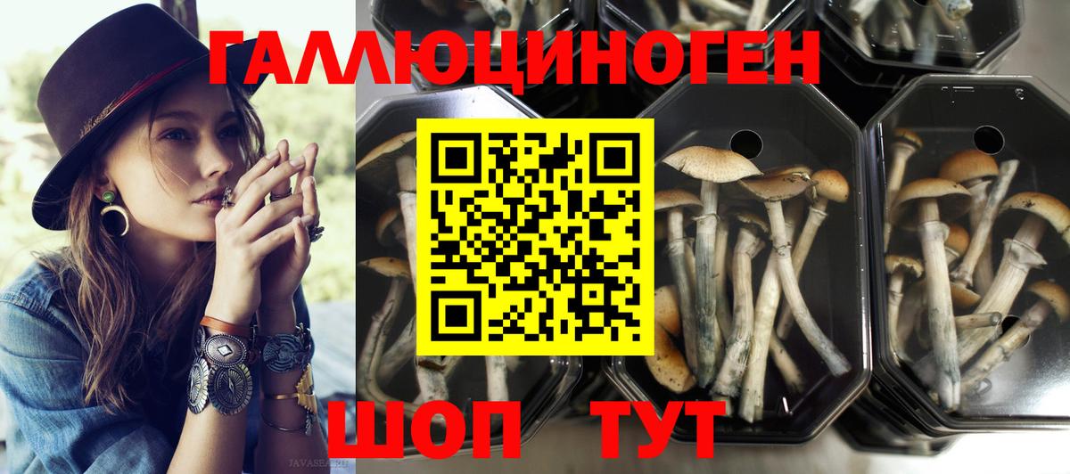 купить наркоту  Вход с VPN  Воскресенск  Псилоцибиновые грибы Magic Shrooms 